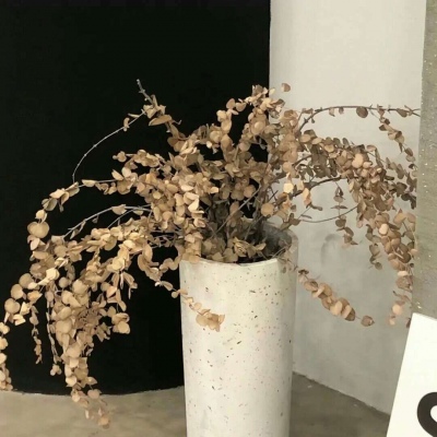 Furry兽设设计技巧FurryQQ群